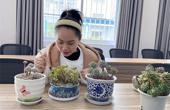 巧手栽多肉，情暖三八节