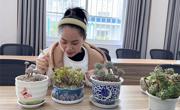 巧手栽多肉，情暖三八节